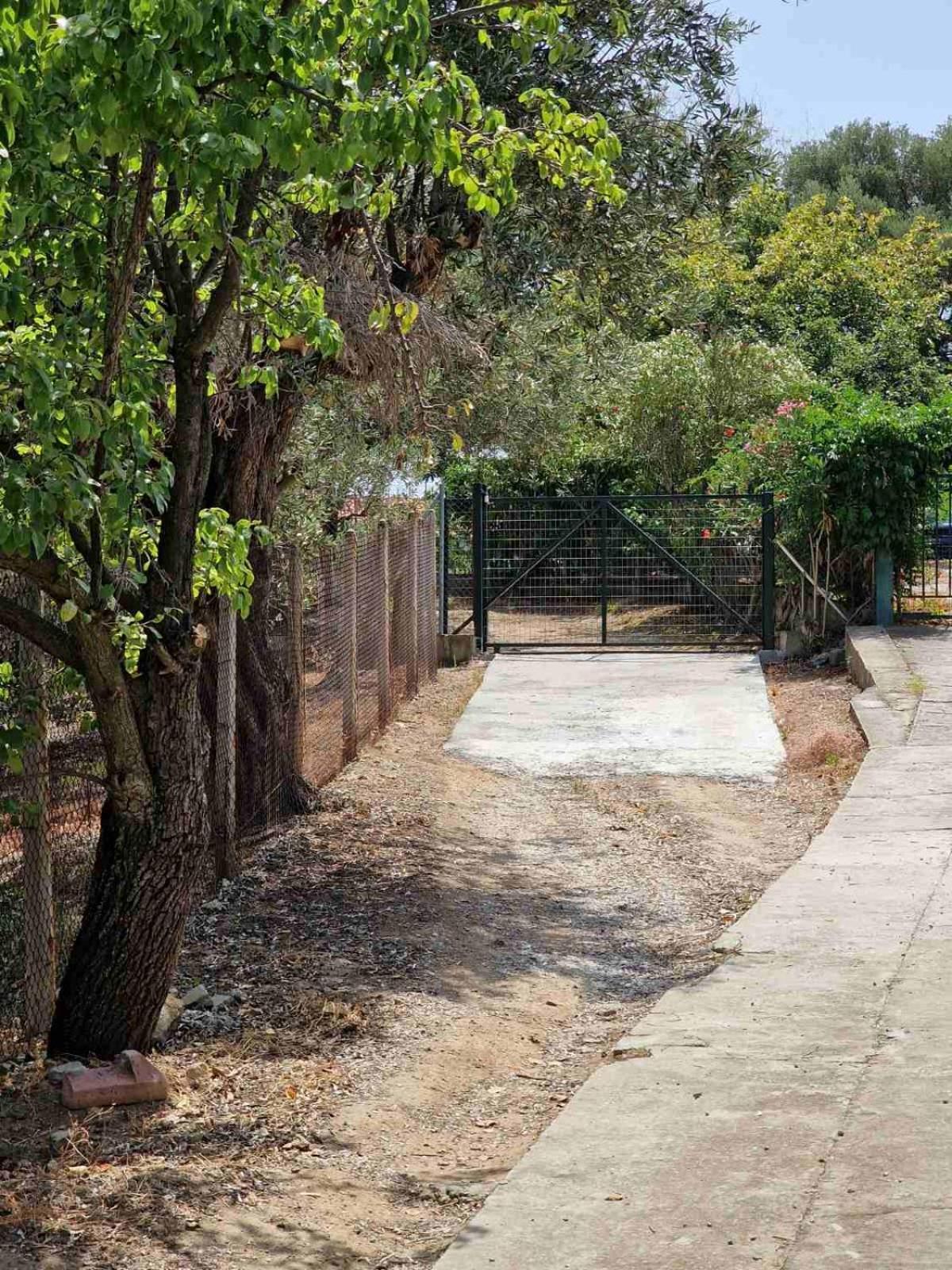 Stella'S Garden Vila PalaiónTsiflíkion Exterior foto